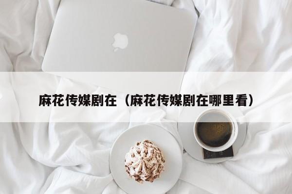 麻花传媒剧在（麻花传媒剧在哪里看）