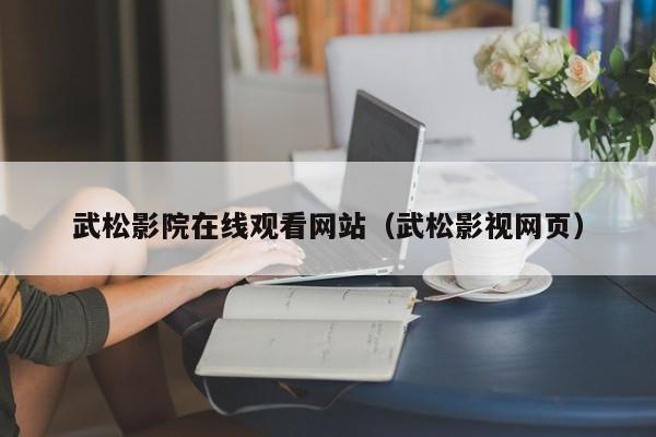 武松影院在线观看网站（武松影视网页）