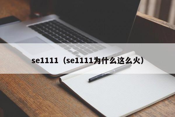 se1111（se1111为什么这么火）